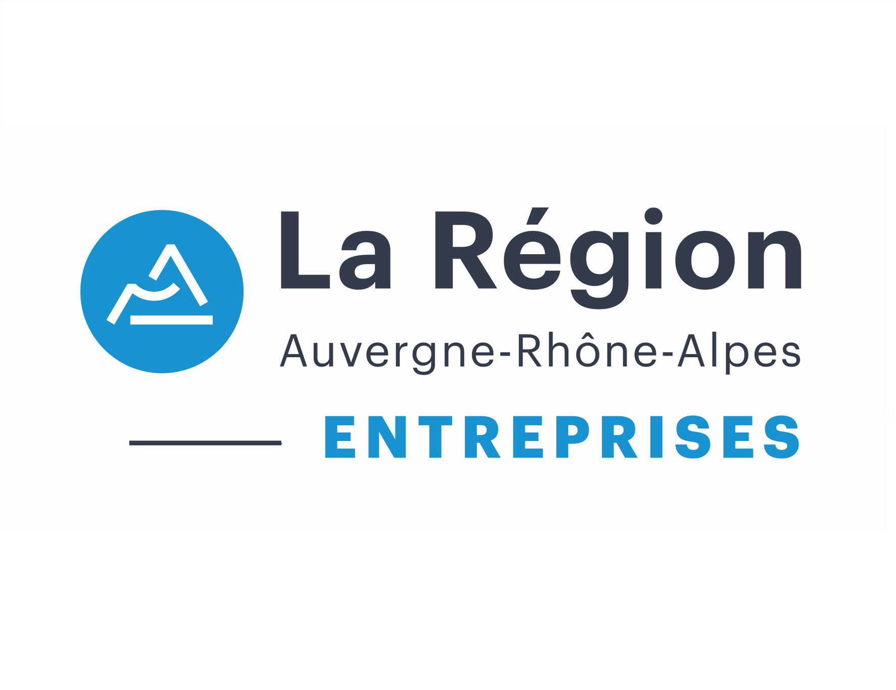 Logo Questionnaire