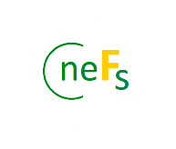 Logo Questionnaire