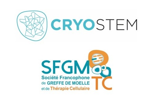 Logo Questionnaire