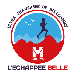Logo Questionnaire
