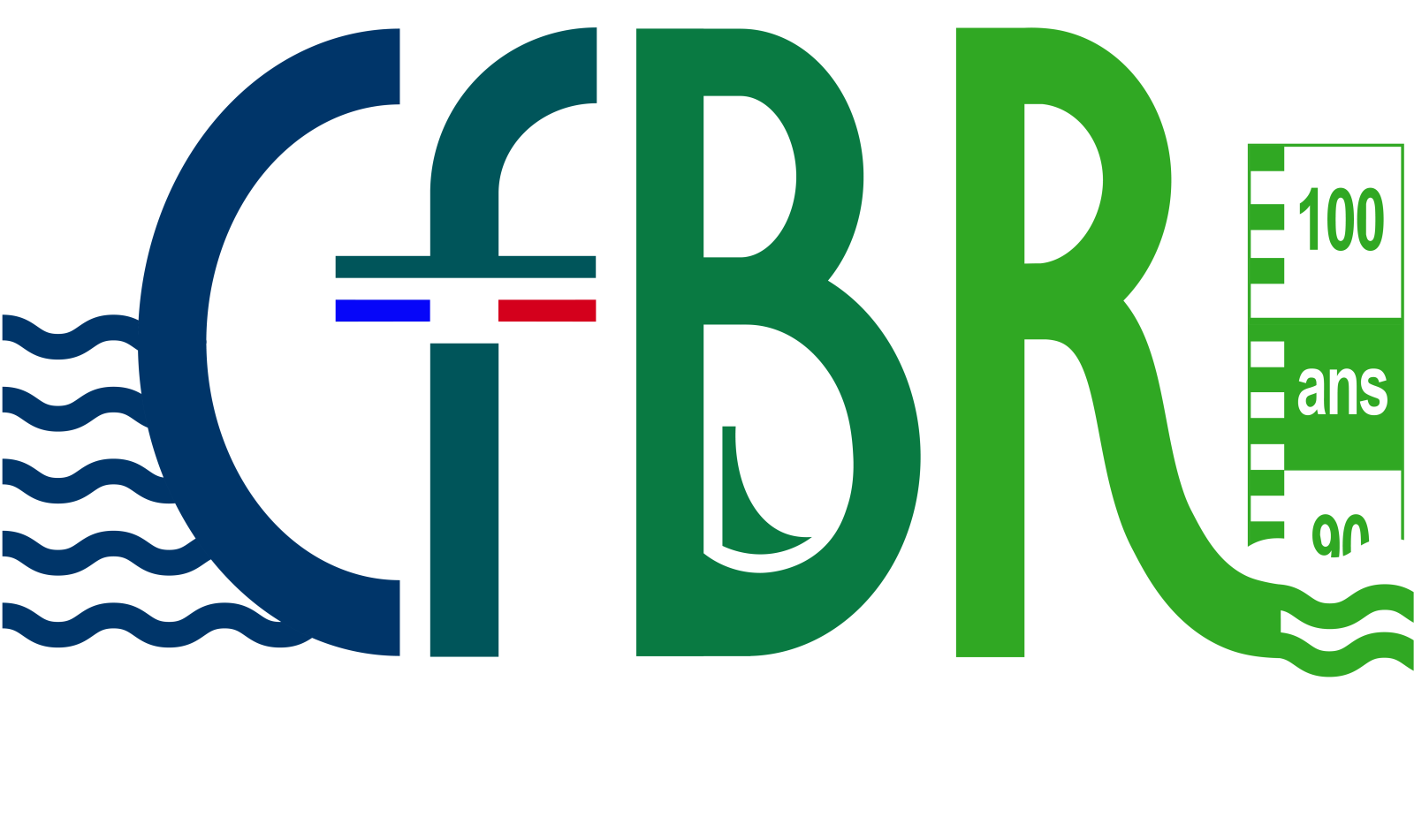 Logo Questionnaire