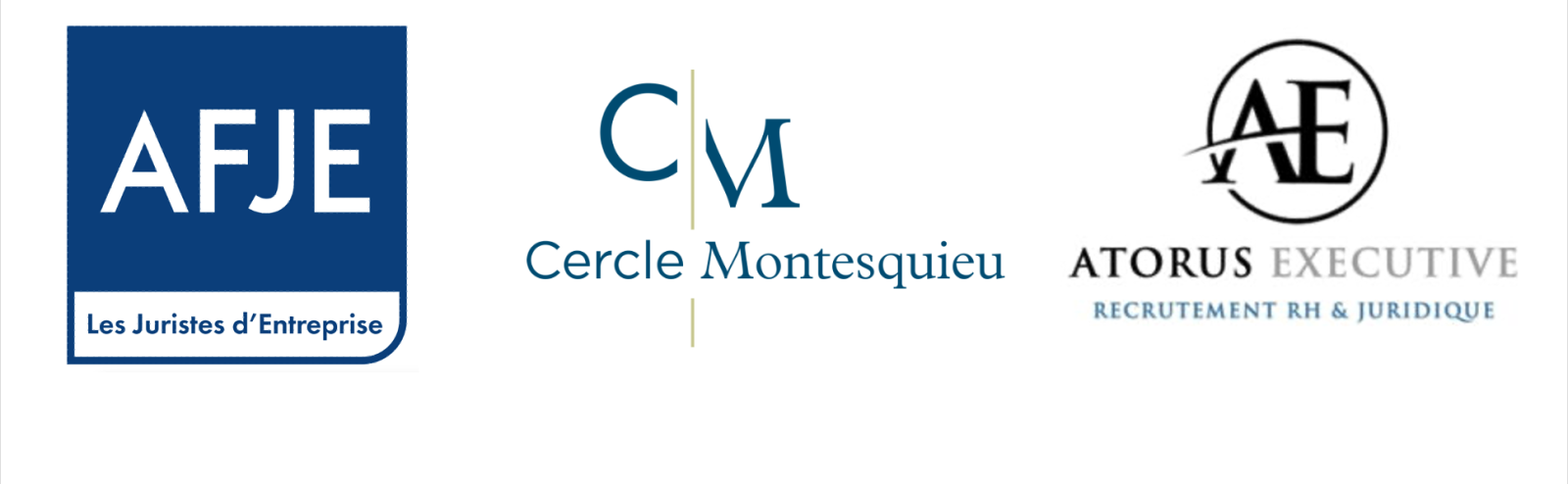 Logo Questionnaire