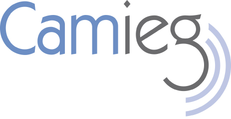 Logo Questionnaire