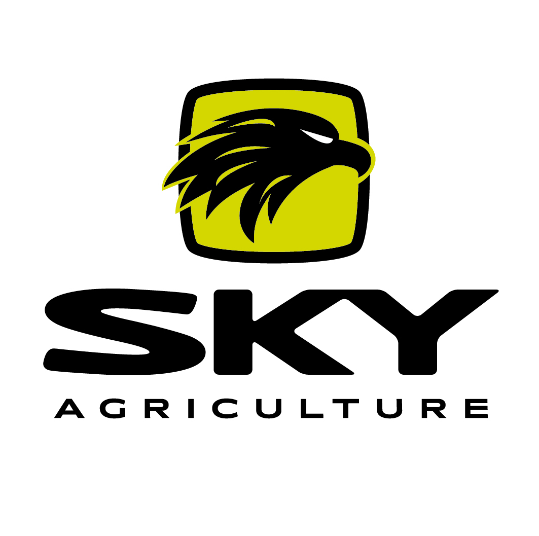Logo Questionnaire