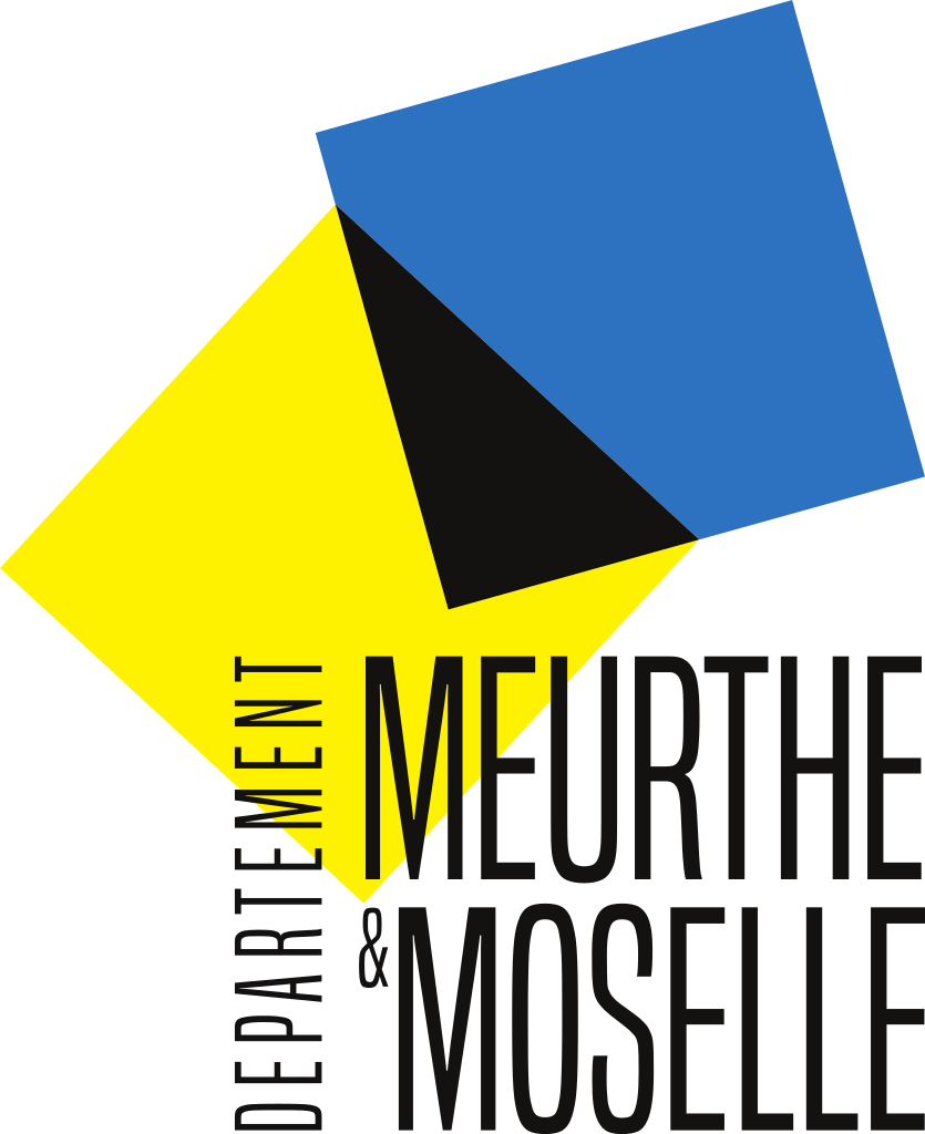 Logo Questionnaire