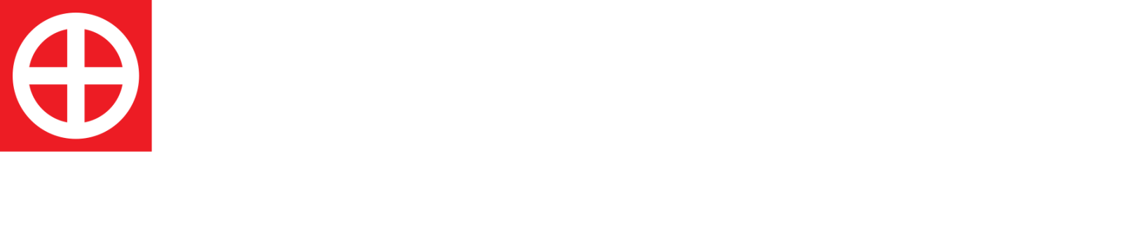 Logo Questionnaire
