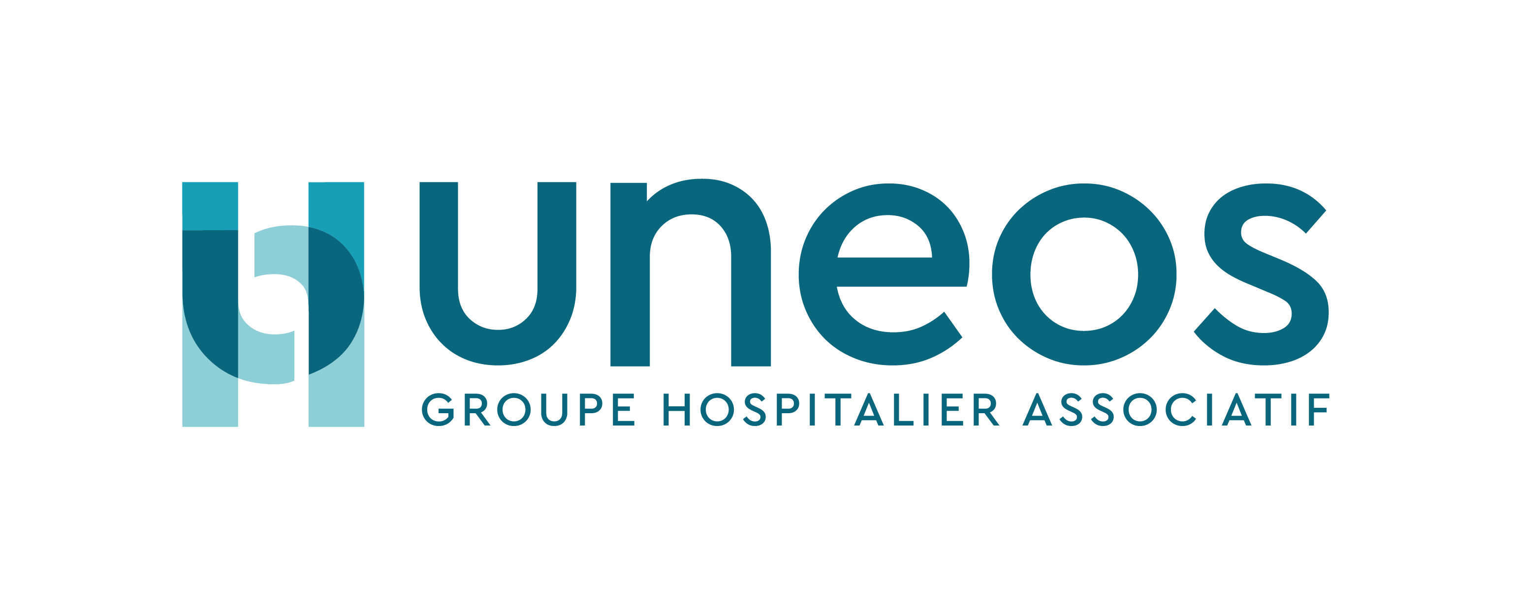 Logo Questionnaire