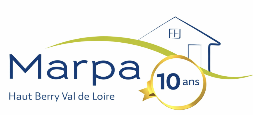 Logo Questionnaire