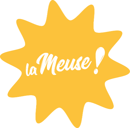Logo Questionnaire