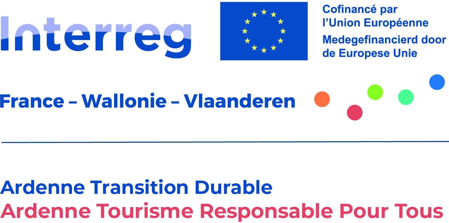 Logo Questionnaire