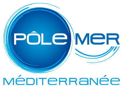 Logo Questionnaire