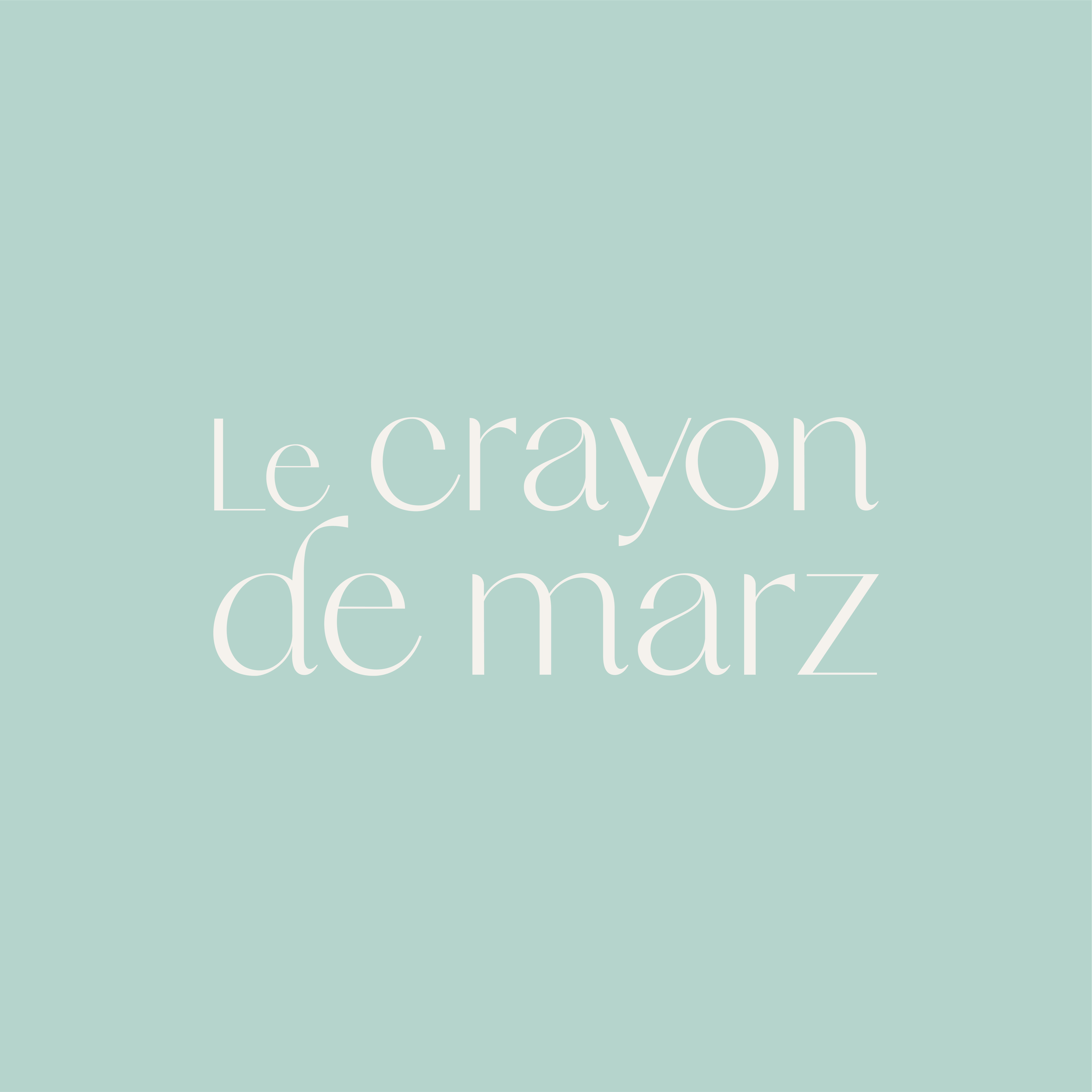 Logo Questionnaire