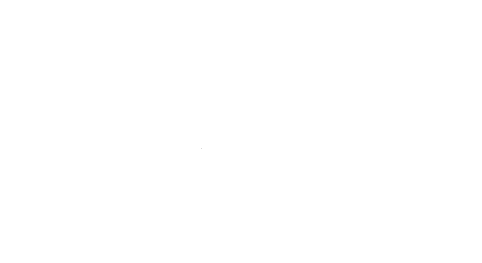 Logo Questionnaire
