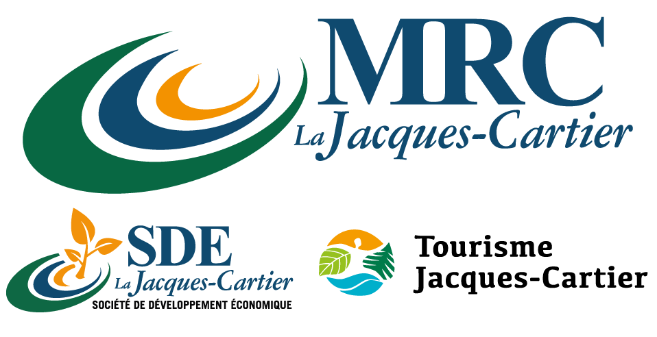 Logo Questionnaire