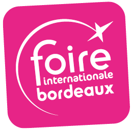 Logo Questionnaire