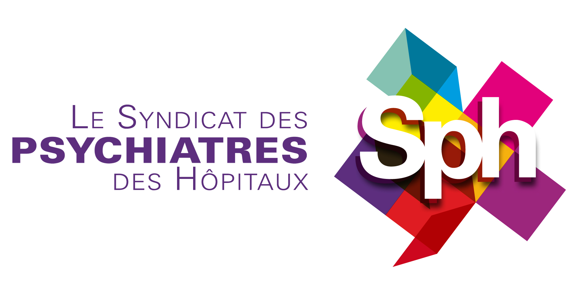 Logo Questionnaire