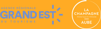 Logo Questionnaire