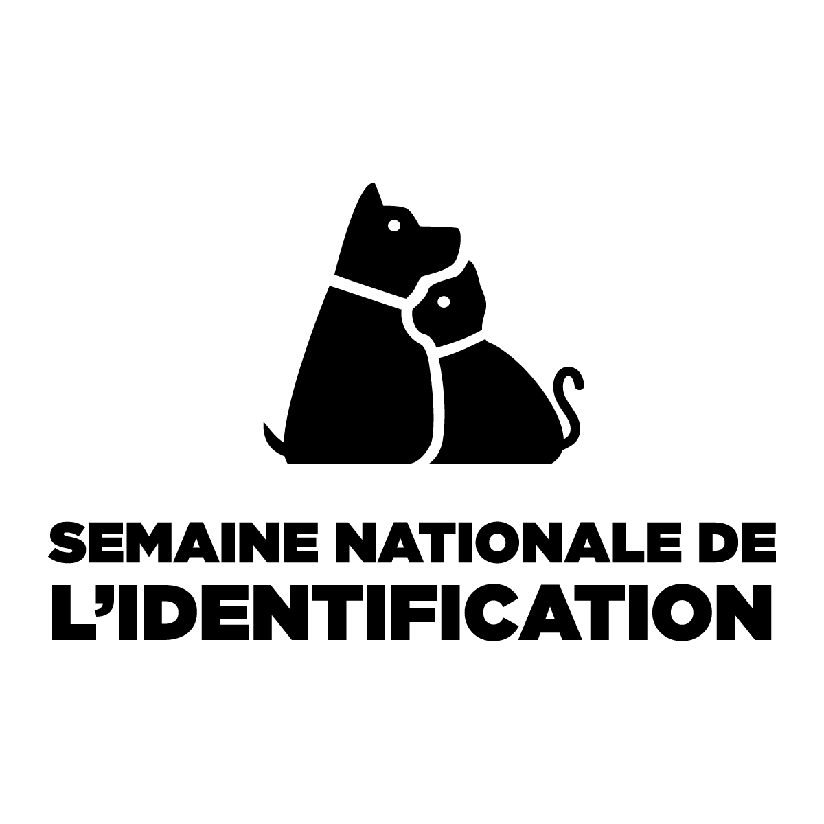 Logo Questionnaire