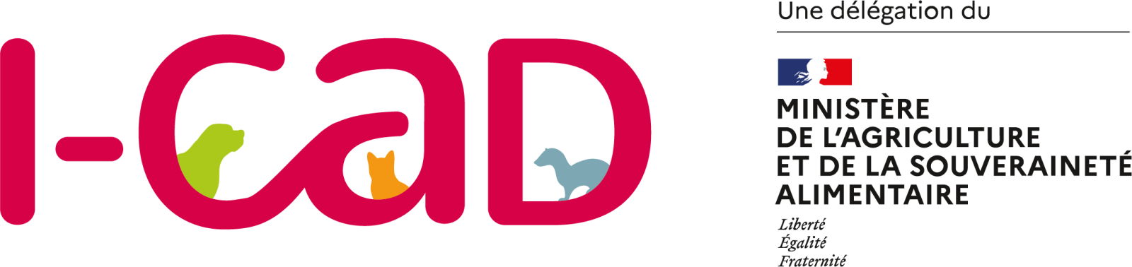 Logo Questionnaire