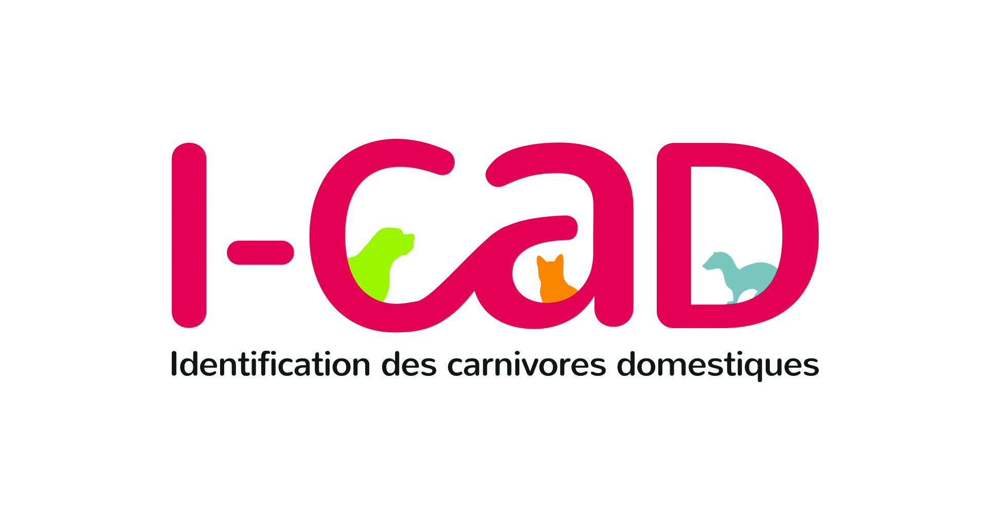 Logo Questionnaire