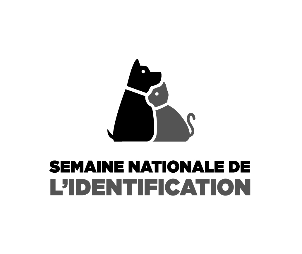 Logo Questionnaire