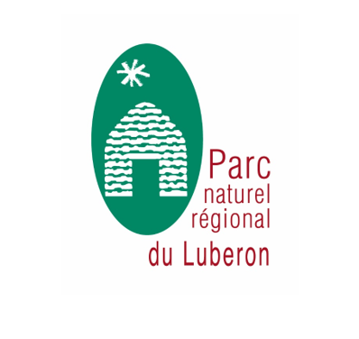 Logo Questionnaire