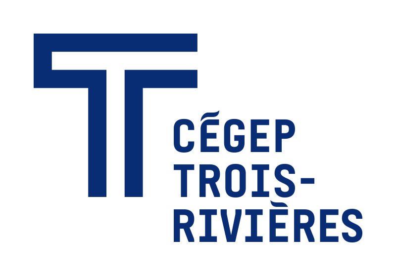Logo Questionnaire