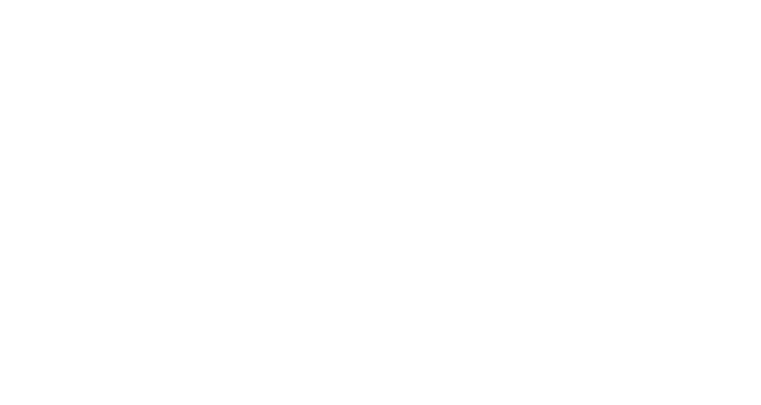 Logo Questionnaire