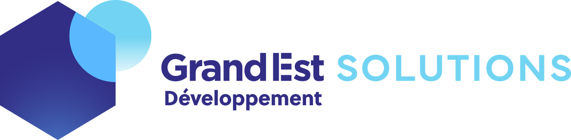 Logo Questionnaire