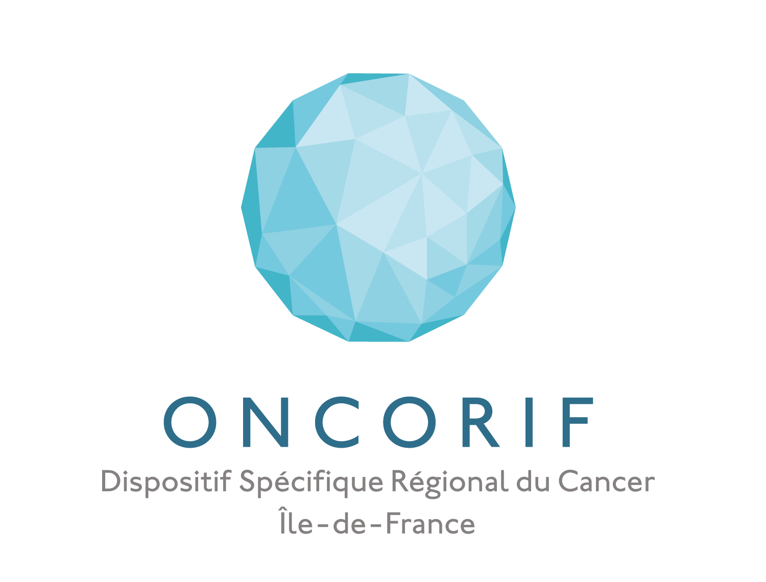 Logo Questionnaire
