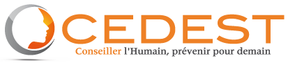 Logo Questionnaire