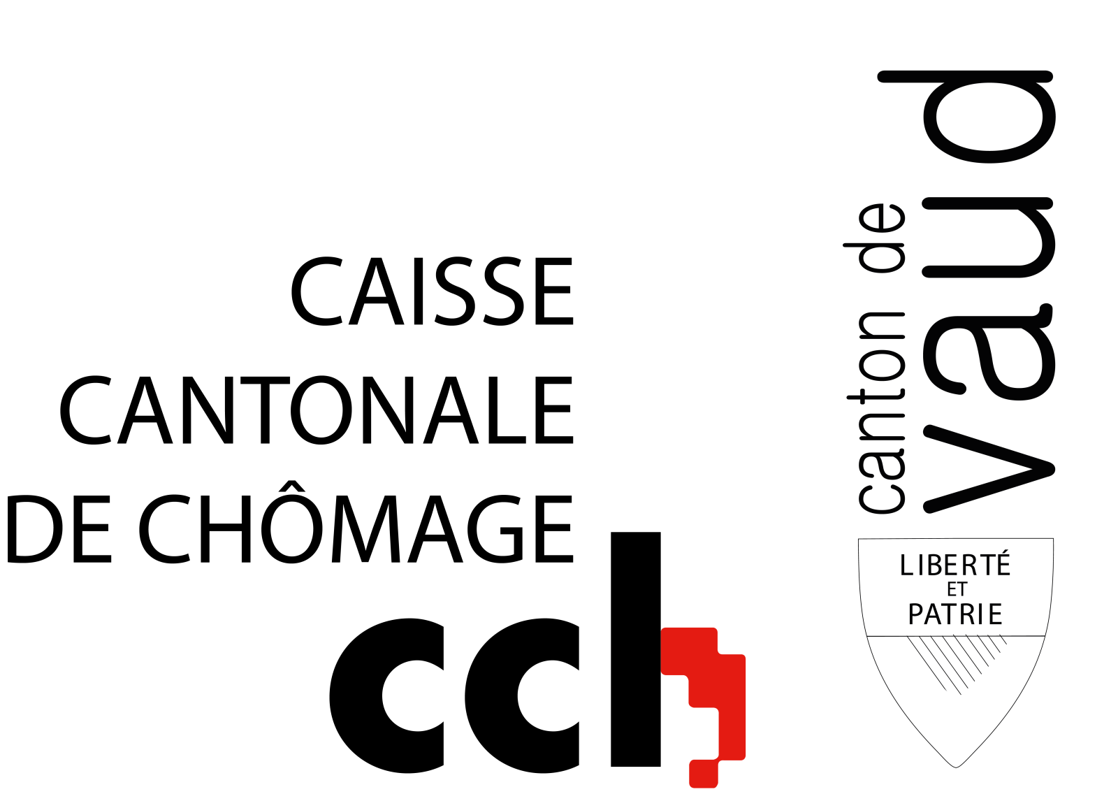Logo Questionnaire