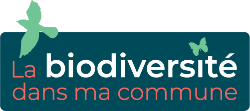 Logo Questionnaire