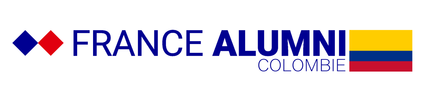 Logo Questionnaire