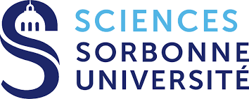 Logo Questionnaire