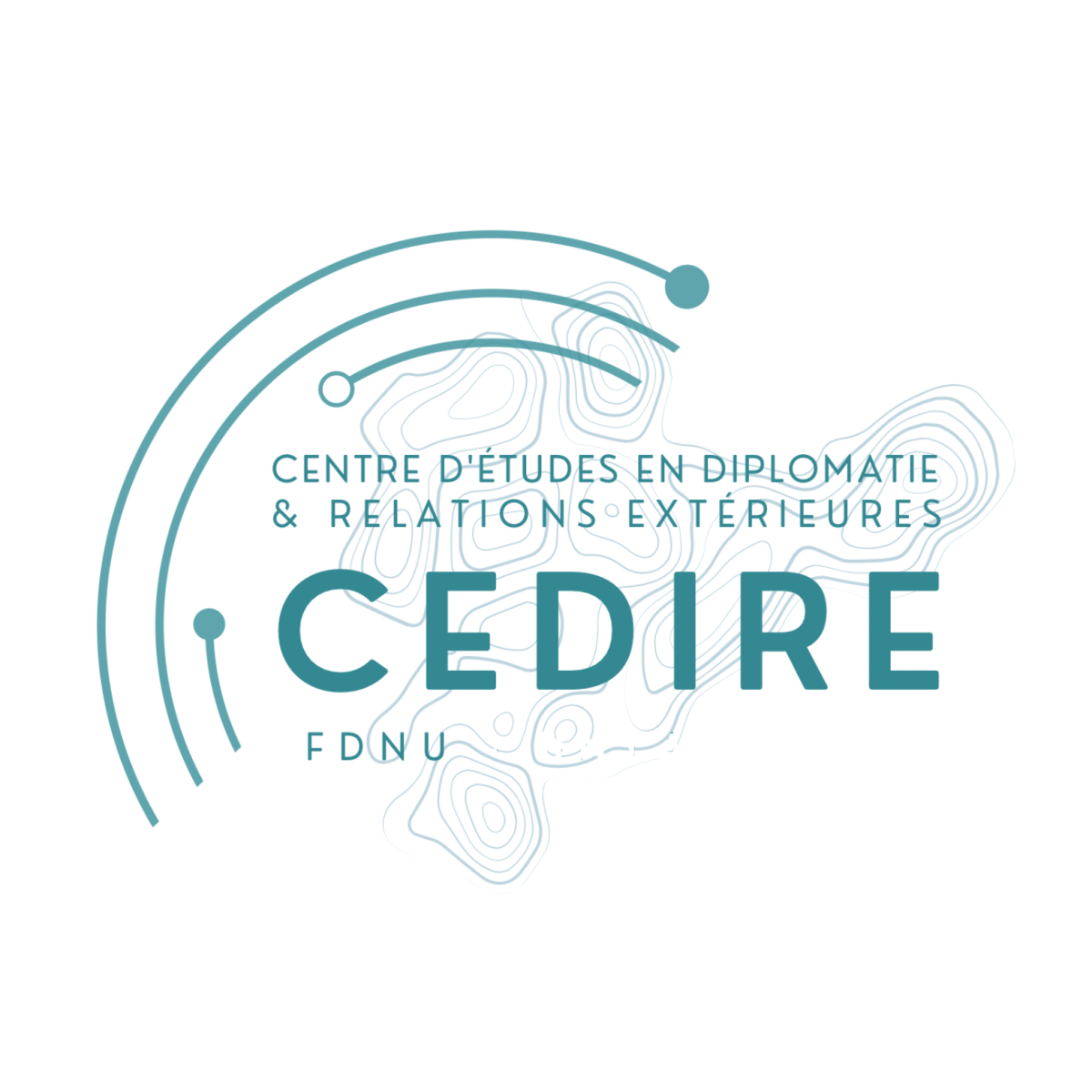 Logo Questionnaire