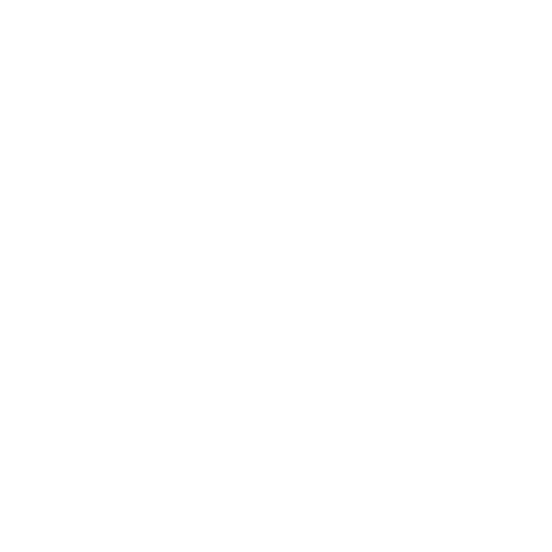 Logo Questionnaire