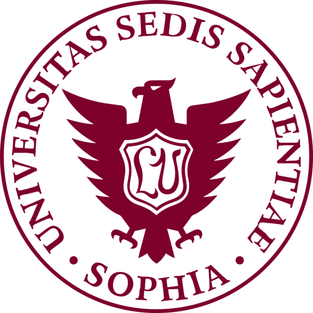 Logo Questionnaire