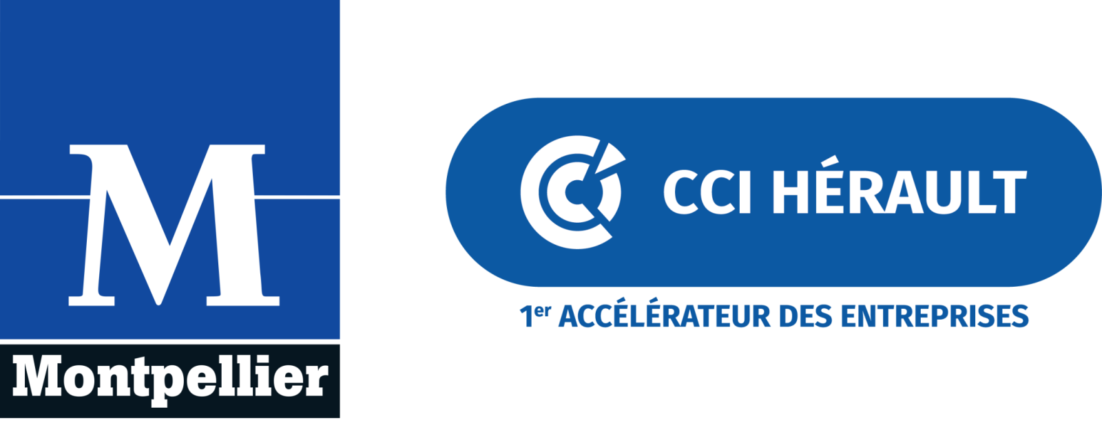 Logo Questionnaire