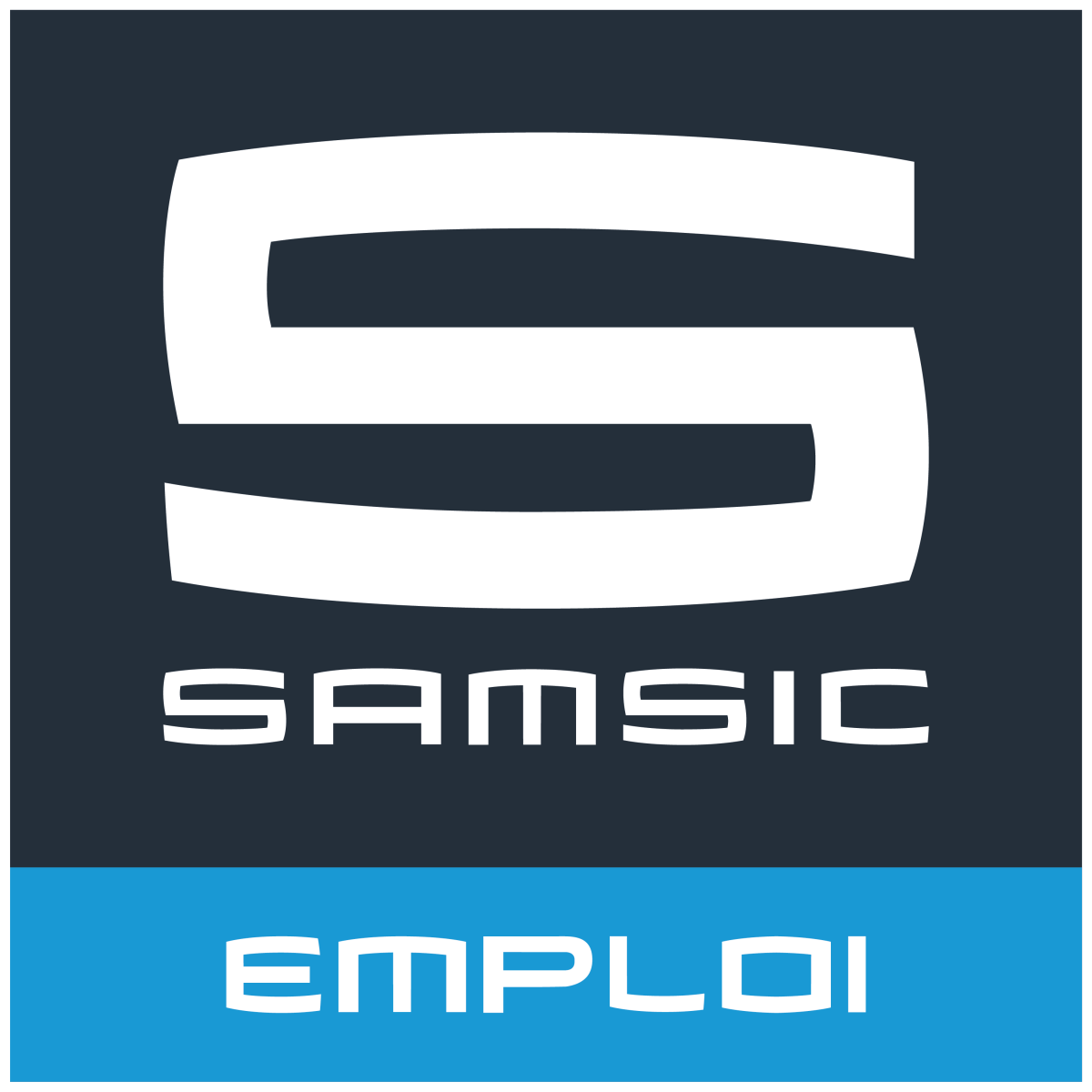 Logo Questionnaire
