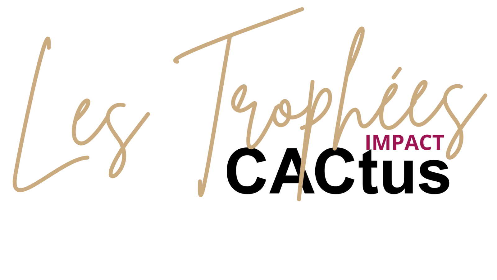 Logo Questionnaire