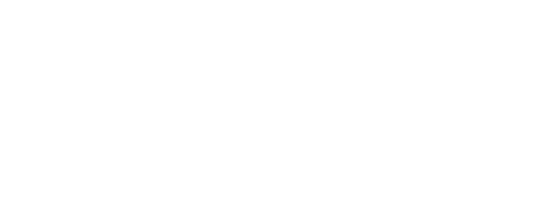 Logo Questionnaire