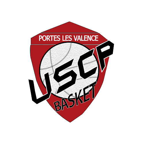 Logo Questionnaire