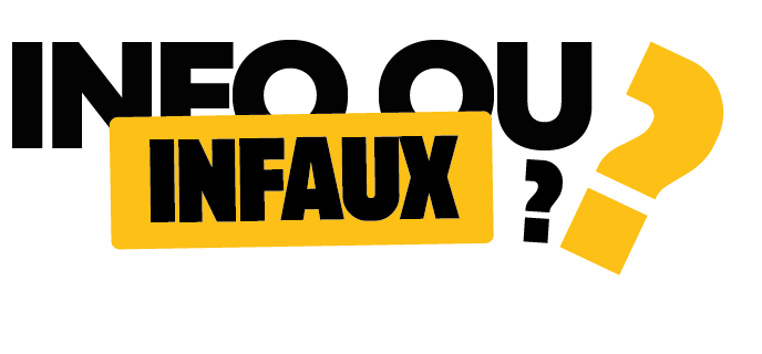 Logo Questionnaire