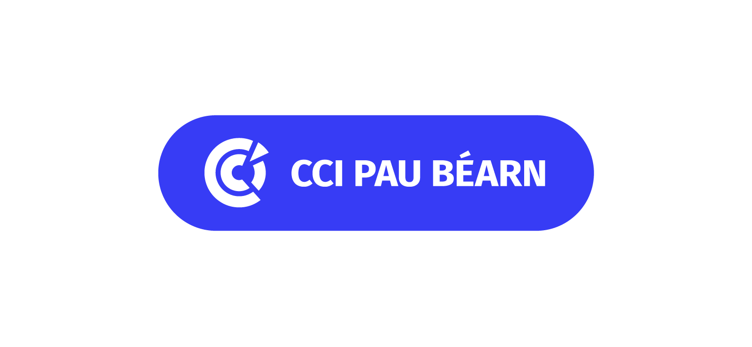 Logo Questionnaire