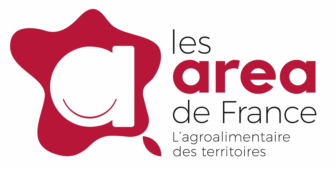 Logo Questionnaire