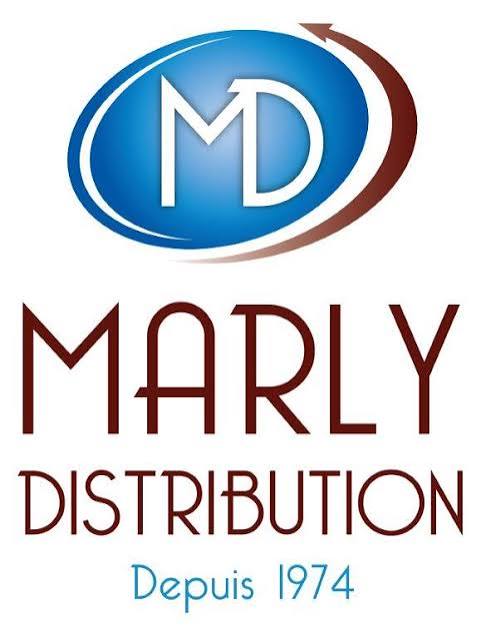 Logo Questionnaire
