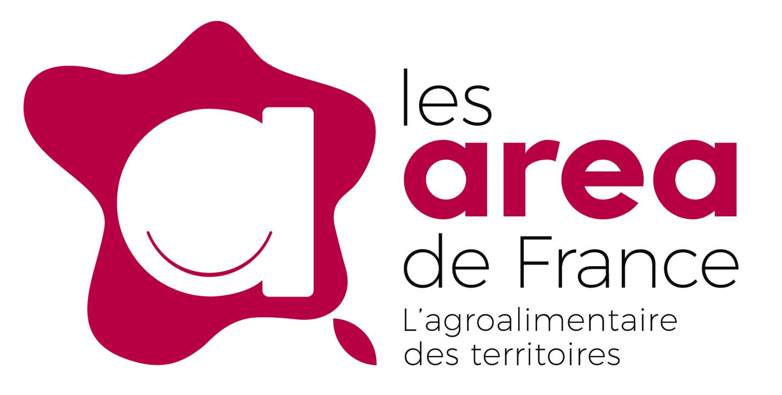 Logo Questionnaire