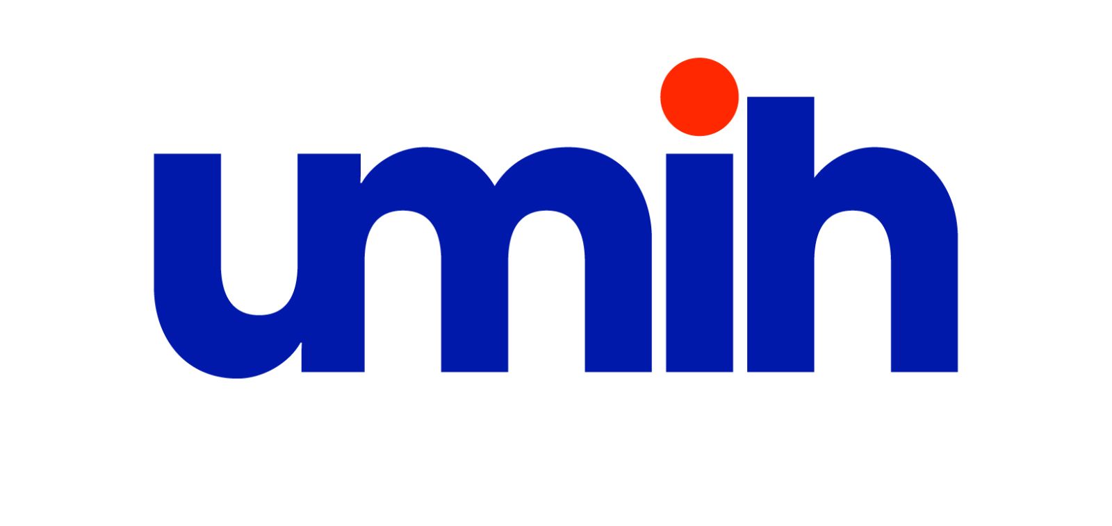 Logo Questionnaire