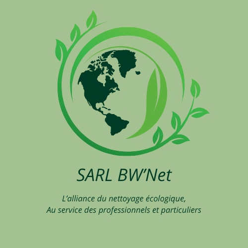 Logo Questionnaire